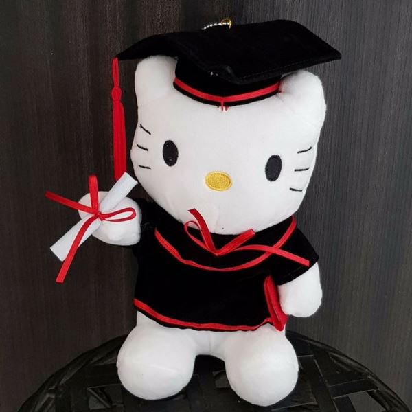 hello kitty graduation plush