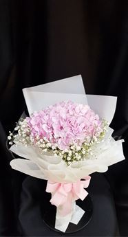 Picture of HB047-Hydrangea Bouquet